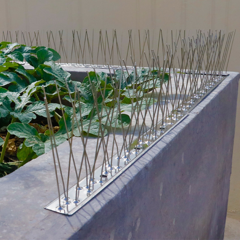 别墅驱鸟神器不锈钢防鸟刺不生锈吓鸟刺14片装长33CM分装送扎带