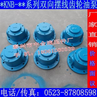 25A 20A 31.5A 40A双向摆线齿轮油泵12.5A可逆式 3KNB 油泵 13A