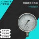 4MPA YNB150A 40MPA 60MPA 1.5 标准表 M20 耐震精密压力表