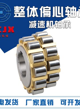 减速机整体偏心轴承70752904 80752904 100752904 130752904 K