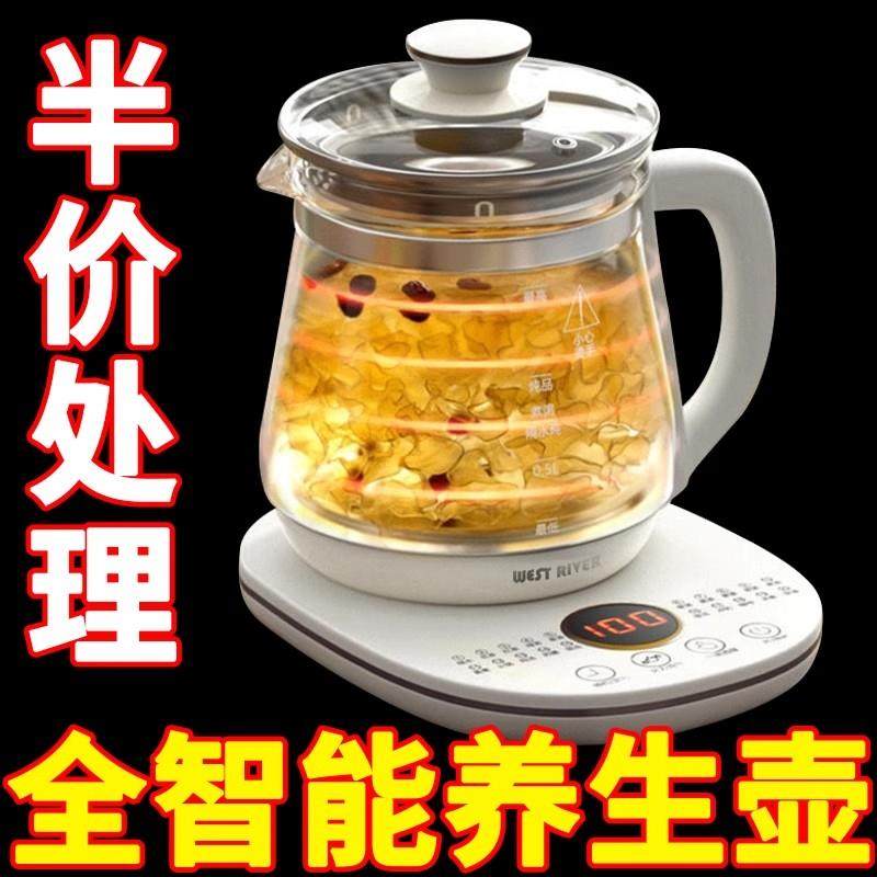 德国养生壶家用多功能电热水壶烧水花茶壶办公室煮茶器小型新款