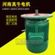 河南真牛电机架桥机龙门吊YEZ4.5kw摆线针减速机ZDY1.5kw5.5KW