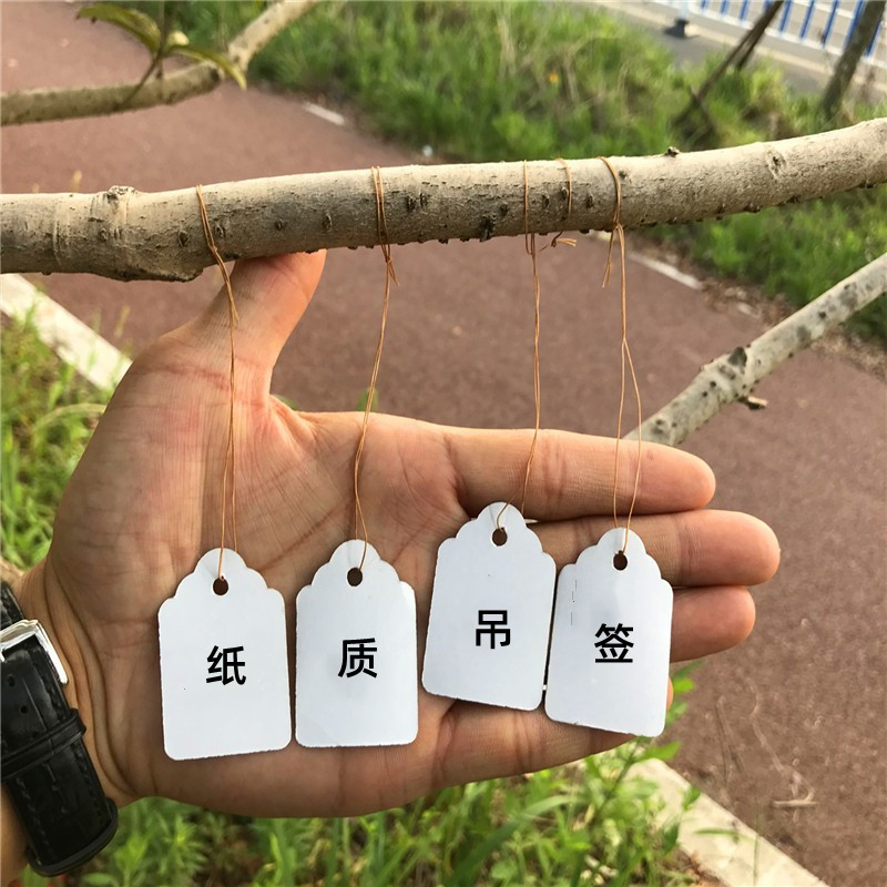 宏荣植物标签纸质园艺标牌园艺标签园艺挂牌花卉标签带线纸吊牌