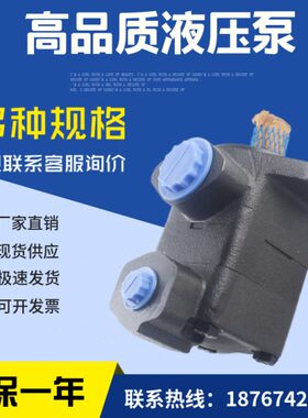 美国DENISON变量泵 SDV20-1P7P-1D 丹尼逊变量叶片泵 压铸机油泵
