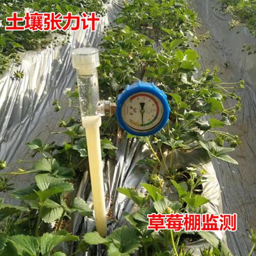 土壤张力计水势仪湿度检测仪负压计土壤灌溉传感器水分特征曲线
