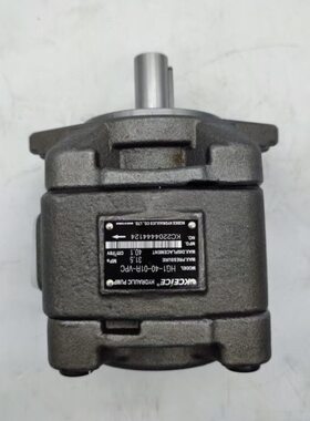 HG1内啮合齿轮泵 HG1-25-01R-VPC 32 40 63