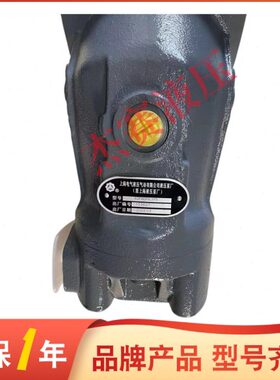 上海电气柱塞泵马达 A2F28R6.1B3 A2F80R6.1P5 A2F107W6.1P6 油泵