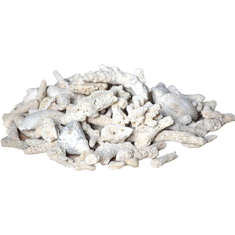 珊瑚骨过滤材料水族箱造景海鲜水产养殖天然O珊瑚砂鱼缸珊瑚石底