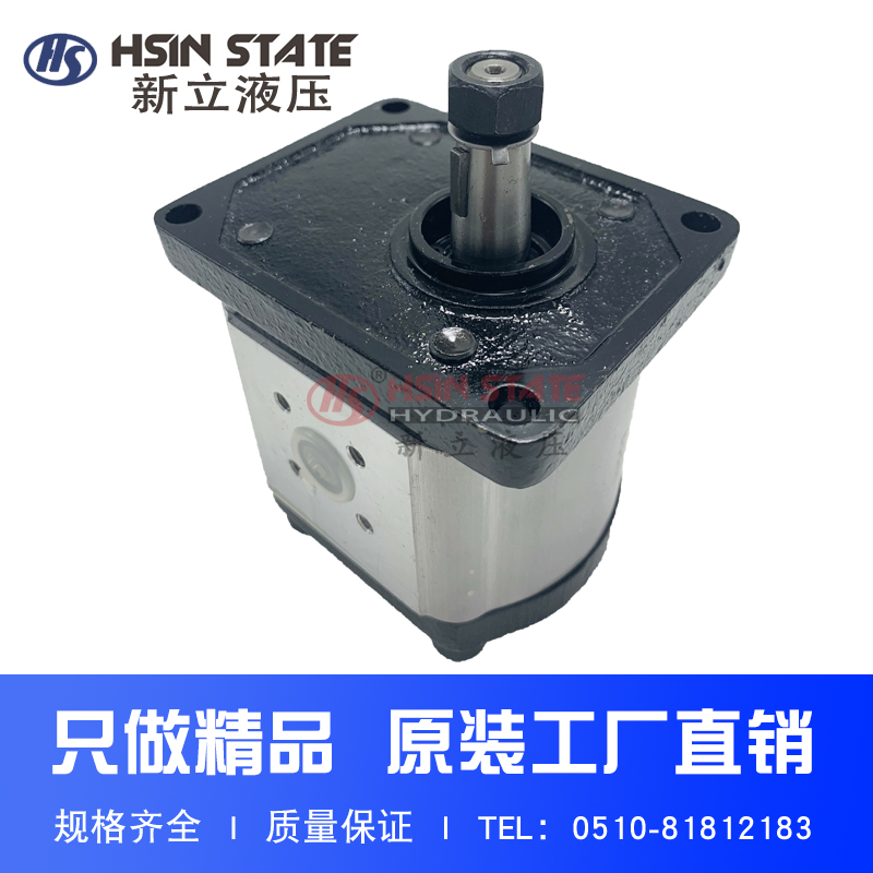 齿轮泵BHP2B0D12T0F1/D6/D10/D14/D16/D18/D20/D25/D28/D30T0F1