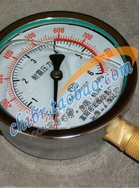 YN-100 0-6MPA 0-60公斤耐震压力表-宏盛仪表油压表液压表