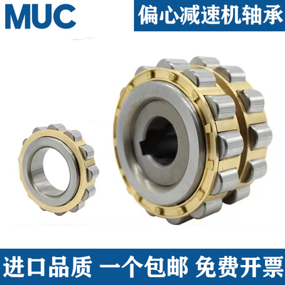 摆线针轮减速机偏心套轴承RN204 205 206 307 309 312 M 带偏心轴