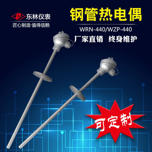 装配式不锈钢热电偶/WRN/WZP-430(420)型/K/PT100型/带固定法兰