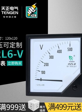 TENGEN天正电气42L6-V指针式交流电压表120*120mm 450V 500V 10KV
