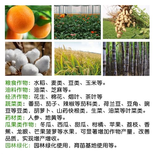 99%高纯硼肥速溶硼肥叶面肥微量元素农用保花保果促花芽分化水溶