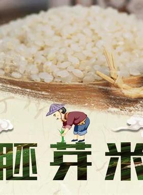 D正品2024年正宗东北胚芽米晚稻粳米现磨不抛光新米农家优质大米