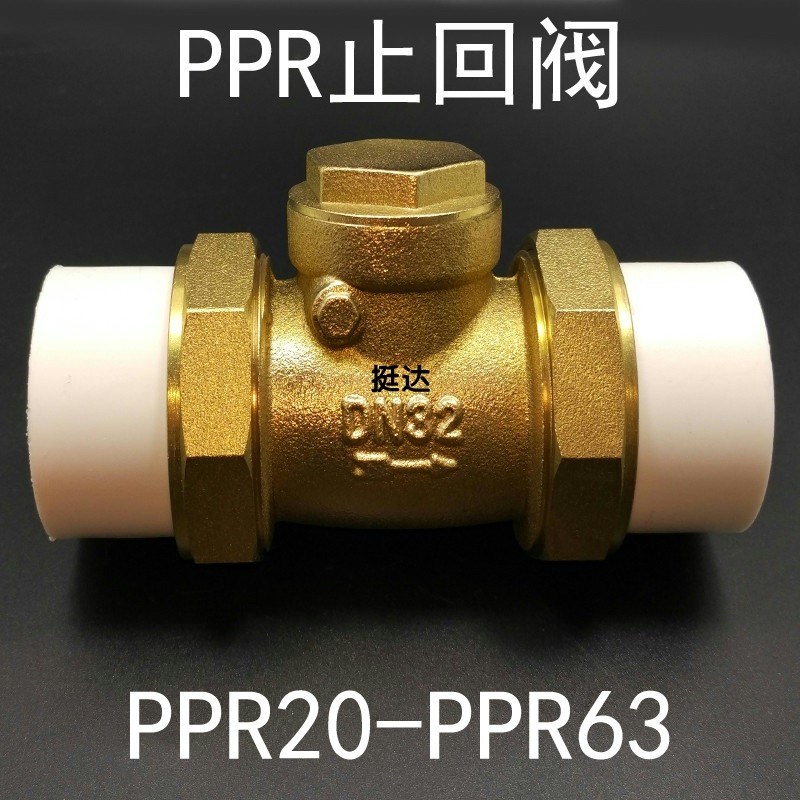 PPR止回阀单向阀卧式止回阀2025324050633铜逆R止单向阀4分6分1寸