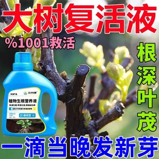 生根药水复活液枯树再生液猛生根原液粉多灵菌营养果树植物复活
