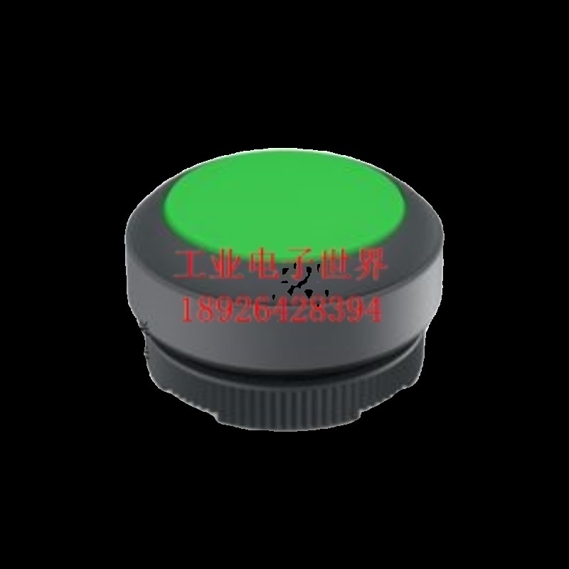 1.30.270.001/2501德国RAFI按钮开关RAFIX 22 FS+发光按键自覆位
