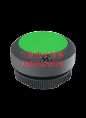 1.30.270.001/2501德国RAFI按钮开关RAFIX 22 FS+发光按键自覆位