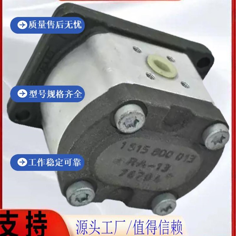 新款齿轮泵AZPN-025/028/032/020/022/036RCB20MB力士乐油泵R包邮