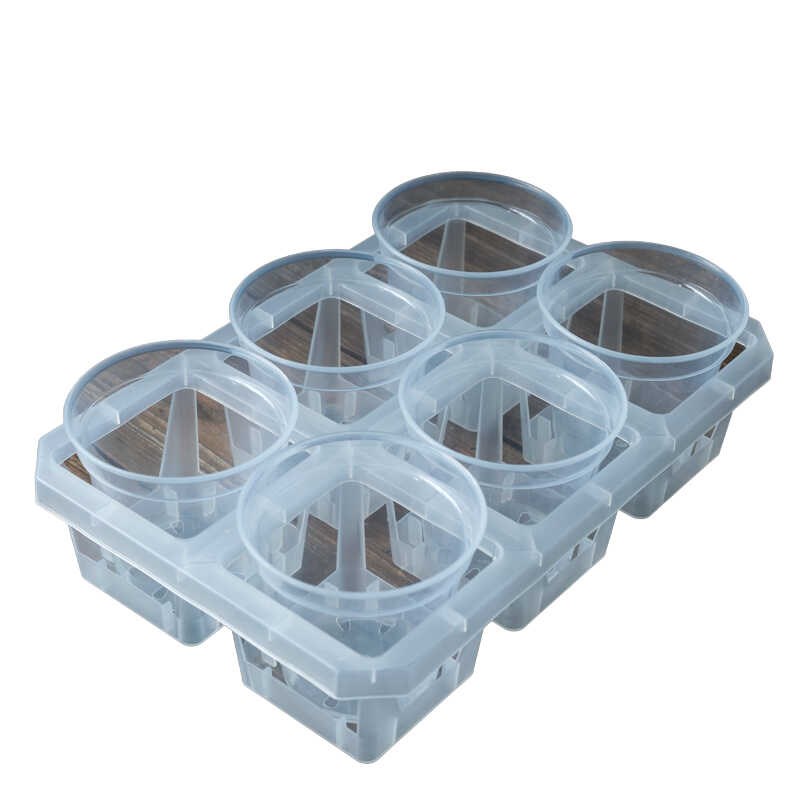 透明塑料花盆石i斛蝴蝶兰花秋海棠海芋扦插试验观根繁殖育苗杯托