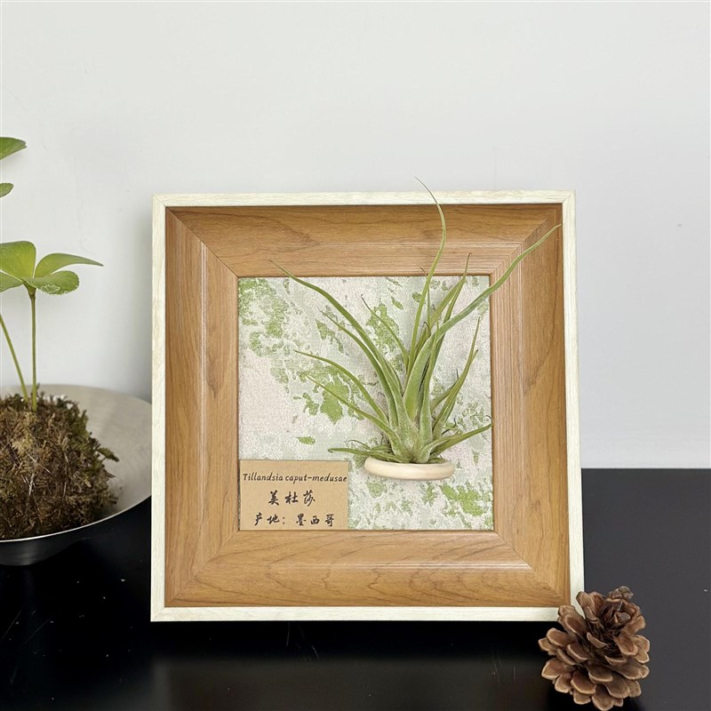 ins空气凤梨套餐懒人现代装饰画框复古桌面挂墙原木白边相框5寸