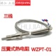 PT100热电阻 温控仪探头 WZPT Pt100 传感器 01热电偶 压簧式