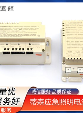 蒂森电梯应急照明电源 TK-EP220/12P-10-Li TK-EP220-12-Li 原厂