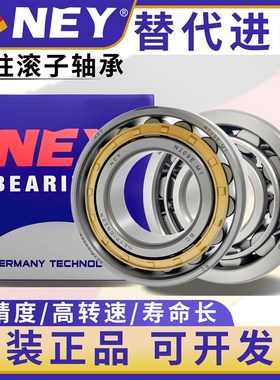 正品NEY圆柱滚子轴承RN204 205 206 207 208 209 210 212 219 EM