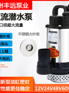 丰远超大流量2寸款12V24V48V60V72V直流电瓶车潜水泵农用灌溉铸铁