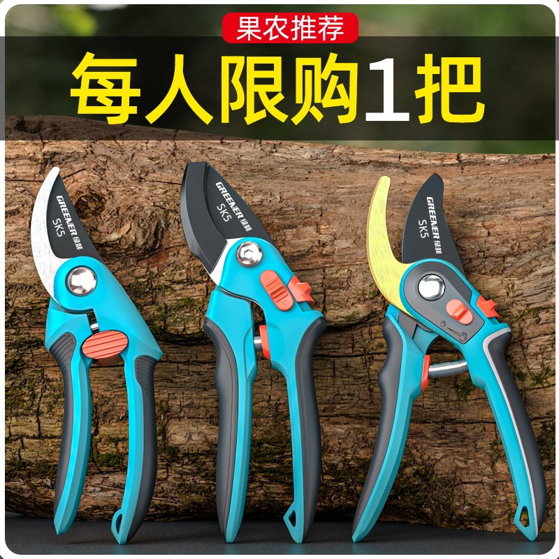 绿林修枝剪树枝剪刀修枝剪园艺剪刀花剪树枝园林花卉专用果树修枝