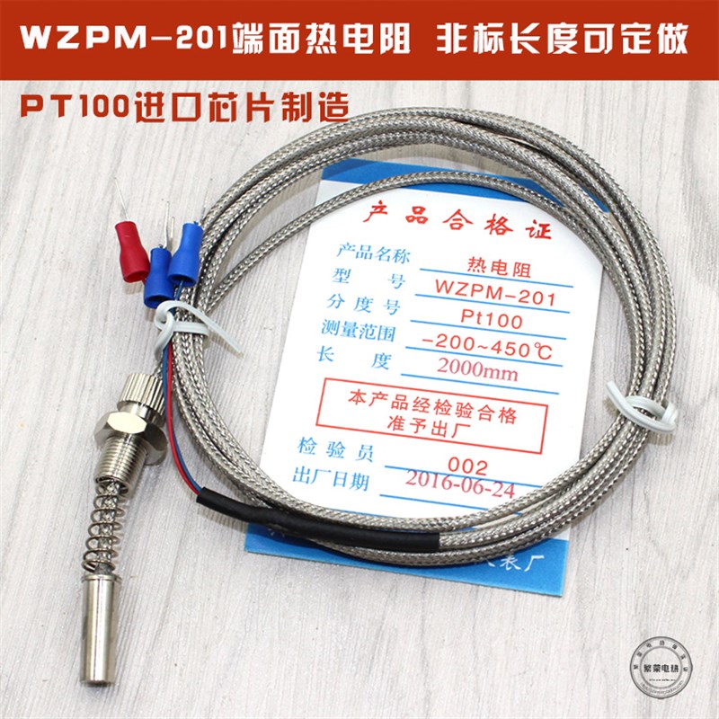 端面热电阻 Pt100端面铂热电阻 温度传感器探头WZPM-201 厂家直销