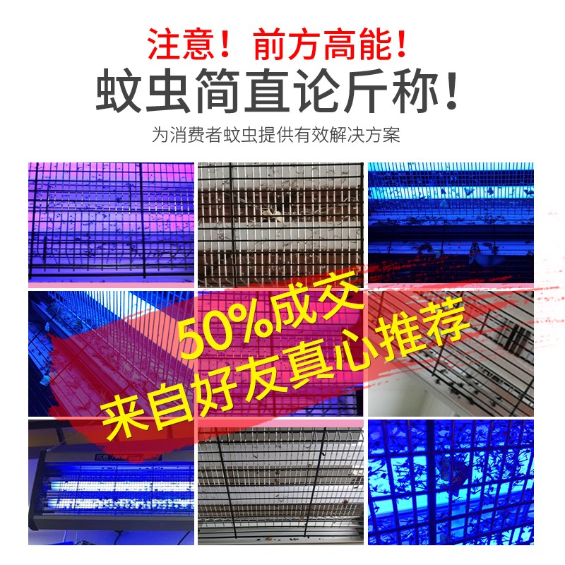 飞利浦灭蚊灯管家用商用灭蝇灯餐厅室内驱蚊器防蚊电蚊灯捕苍蝇器