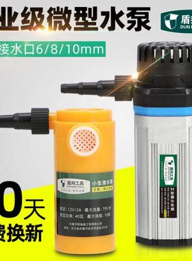 盾邦12v小水泵抽水机泵家用小型微型吸水潜水泵220v水钻水泵专用h