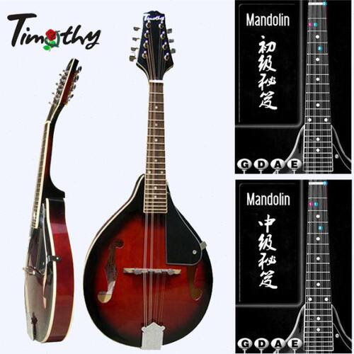 Timothy真可爱中级M100高音送学琴全套八弦曼陀林乐器曼陀铃琴