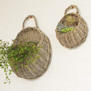 花篮挂墙花盆壁挂墙壁墙上花器吊兰垂吊形植物的花盆可壁挂式花盆