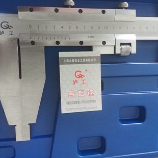 500 0.02mm 600 1000 1米沪工工业卡尺 800 沪工游标大卡尺0