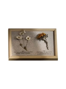 自然科学主题陈设软装样板房书架书柜花艺植物标本摆件道具装饰书