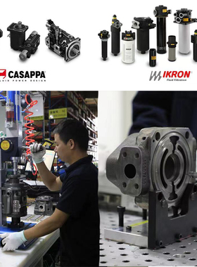 CASAPPA凯斯帕齿轮泵PLP20.14D0-8/PLP20J.14D0-82S1-LGE环卫扫雪