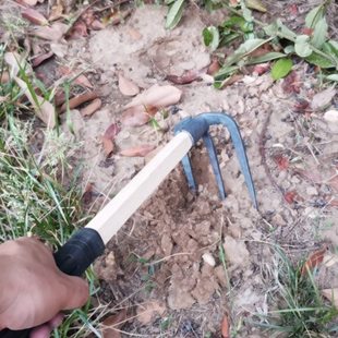 锻打园艺锰钢锄耙长柄弹簧钢挖笋木柄小锄头小钢叉草耙子挖土钢镐