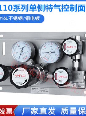 PS110L不锈钢 PS110B铜镀镍单侧特气控制面板减压阀排空减压器