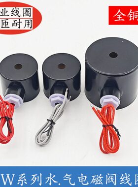 电磁阀控制阀2W-160-15 2W-200-20 2W-250-25水阀系列全铜线圈220