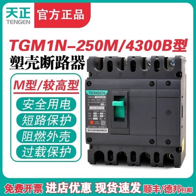 TENGEN天正TGM1N-250M/4300B 250A塑壳断路器 250A空气开关4P