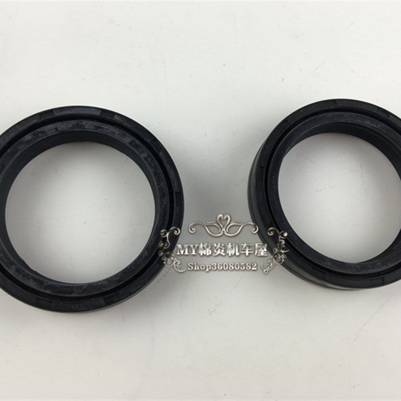 适用 150NK 250NK GZ125HS GZ150A 奔达250 前减震油封 前叉油封