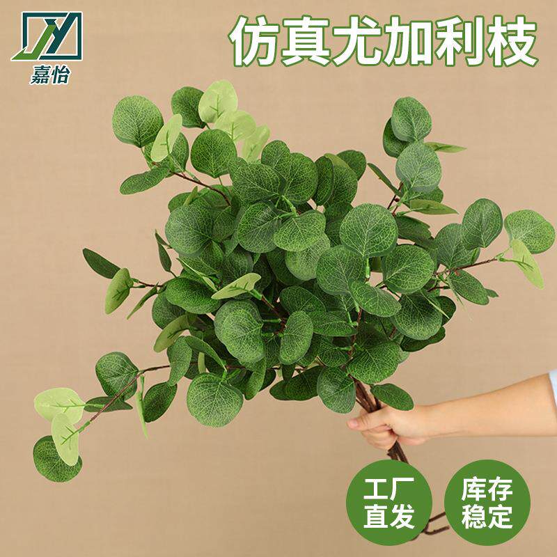 仿真绿植尤加利枝婚庆插花配材室内家具装饰摆件假草跨境现货图片