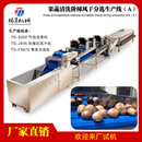 全自动多功能洗菜机洗果机气泡式 春笋清洗机果蔬清洗风干流水线