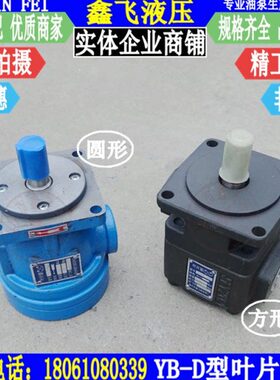 YB-D6.3/D10/D16/D20/D25/D32/D40/D50/D63/D80/D100中压叶片泵12