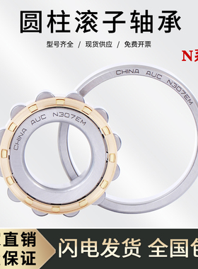 圆柱滚子轴承N213 214 215 216 217 218 219 220 221 222 224M/EM
