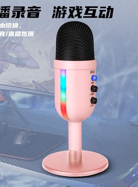 RBG电脑USBi电容麦克风 主播K歌录音降噪高采样率话筒直播设备套