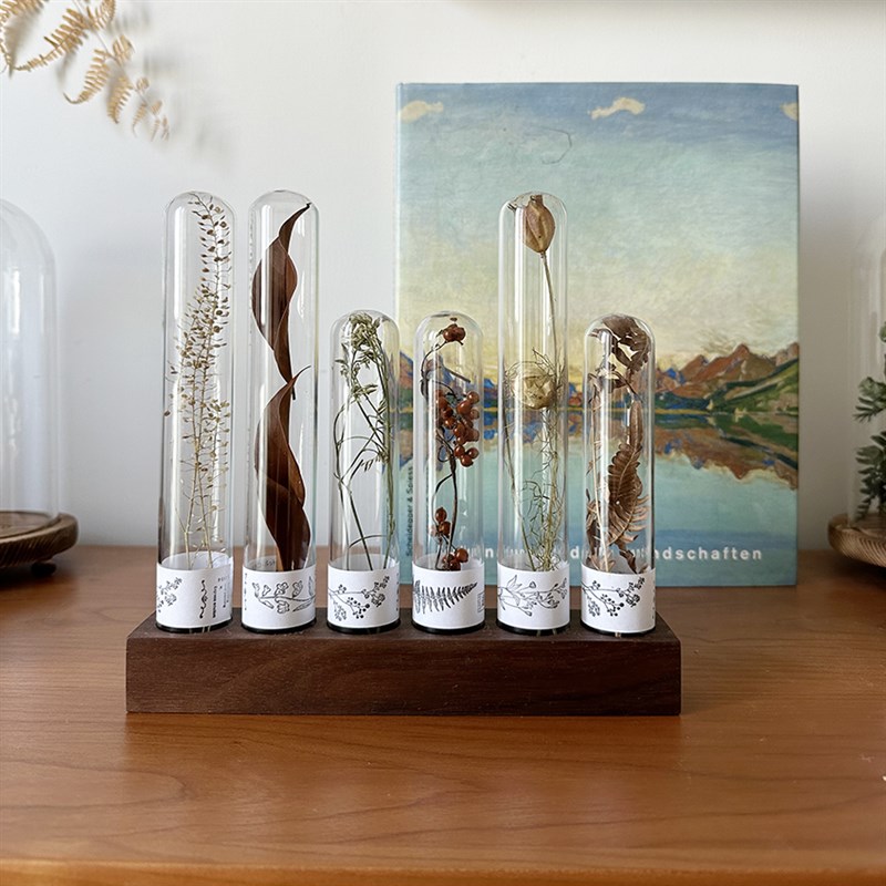 玻璃试管干花植物标本实木底座组合桌面装饰摆件送闺蜜礼物诧寂风